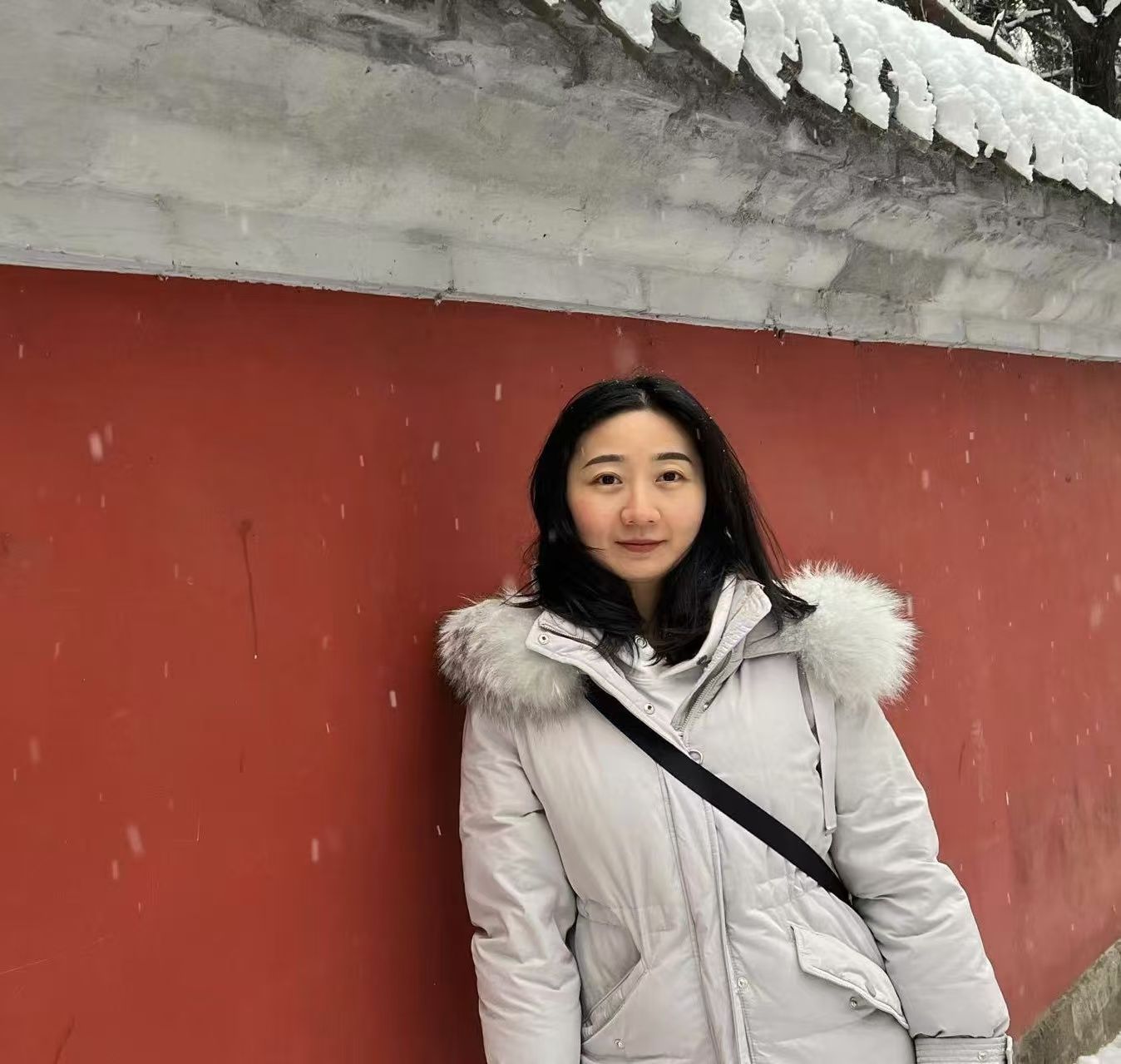 大小球盘